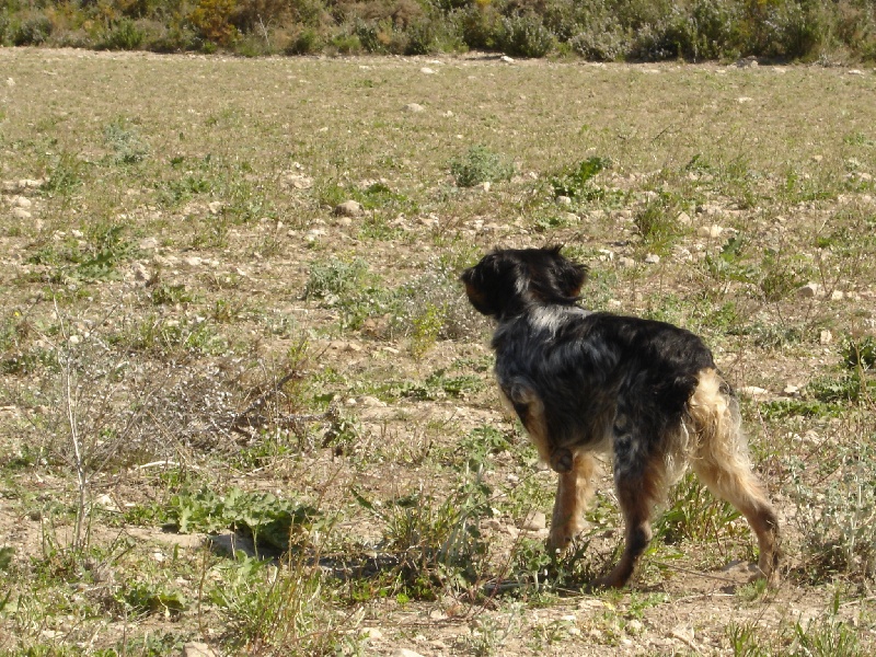 Cawa du mas de la meule